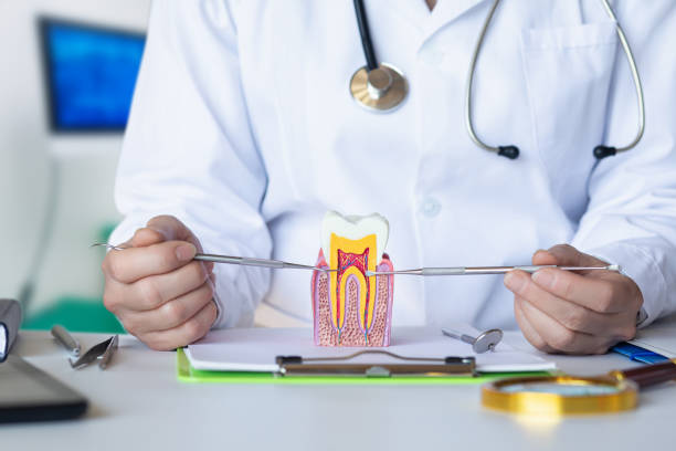 Best Emergency Dental Services for Seniors in Jefferson, OR